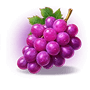 Grape